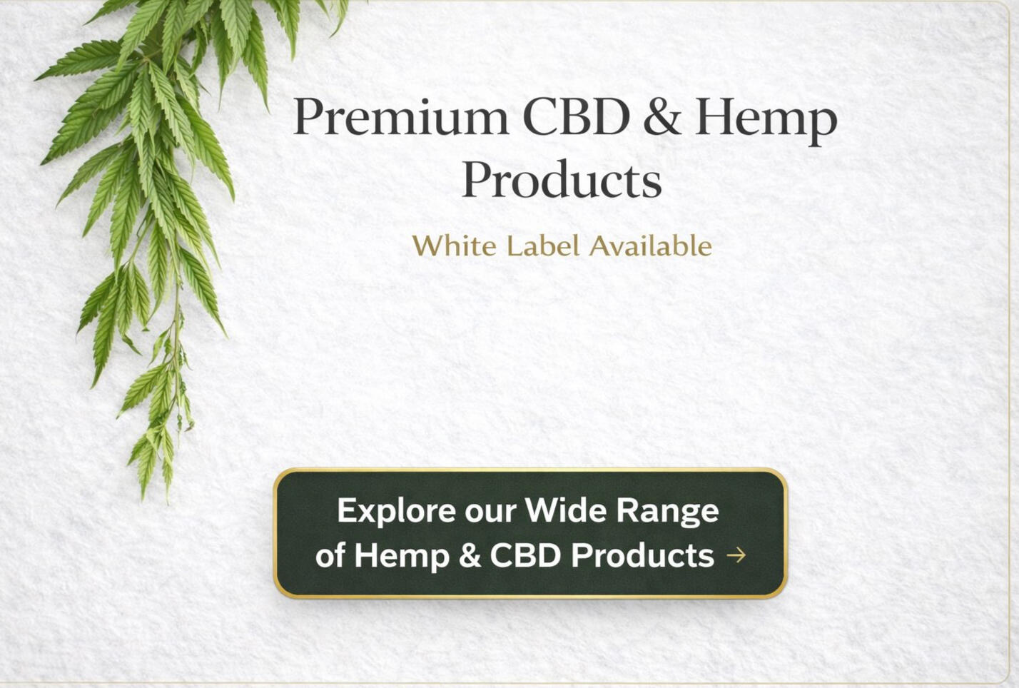 Hempstash Full CBD Catalogue